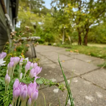 Amala - 2-5km From The Sea By Interhome Kongsmark