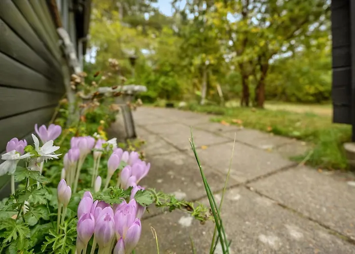 Amala - 2-5km From The Sea By Interhome Kongsmark